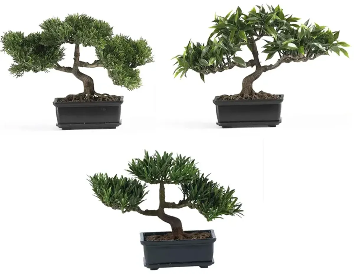 12in. Bonsai Silk Plant Collection (Set of 3) in Green by Bellanest