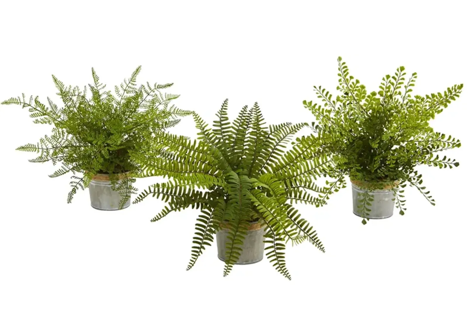 14in. Assorted Ferns with Planter Artificial Plant (Set of 3) in Green by Bellanest