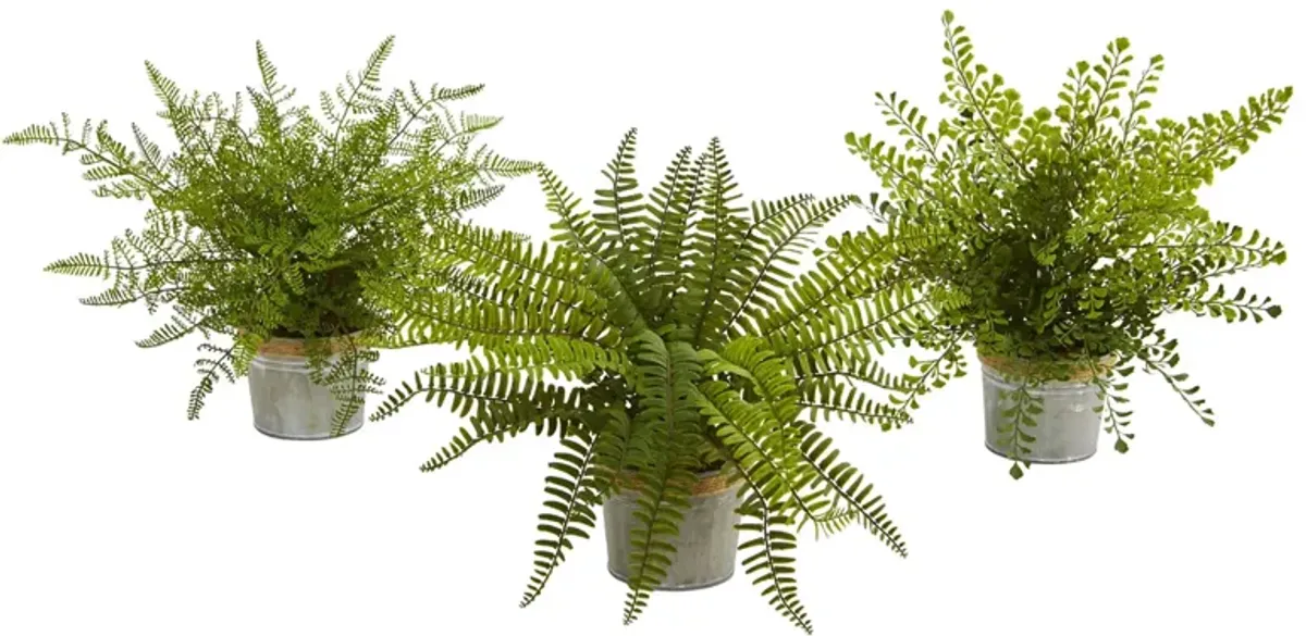 14in. Assorted Ferns with Planter Artificial Plant (Set of 3) in Green by Bellanest