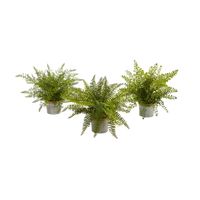14in. Assorted Ferns with Planter Artificial Plant (Set of 3) in Green by Bellanest