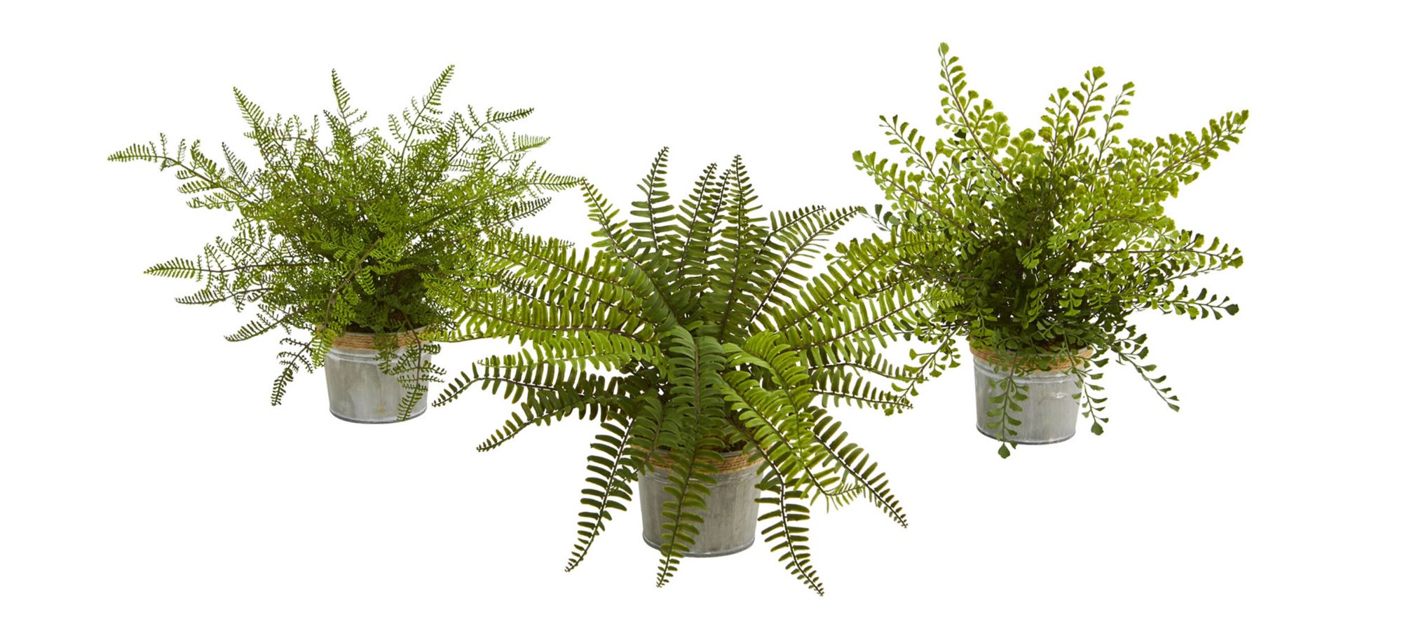 14in. Assorted Ferns with Planter Artificial Plant (Set of 3) in Green by Bellanest