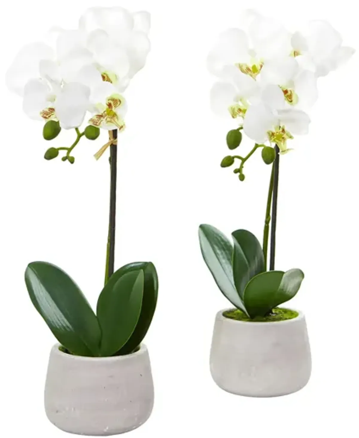 Phalaenopsis Orchid Artificial Arrangement (Set of 2) in White by Bellanest