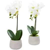 Phalaenopsis Orchid Artificial Arrangement (Set of 2) in White by Bellanest