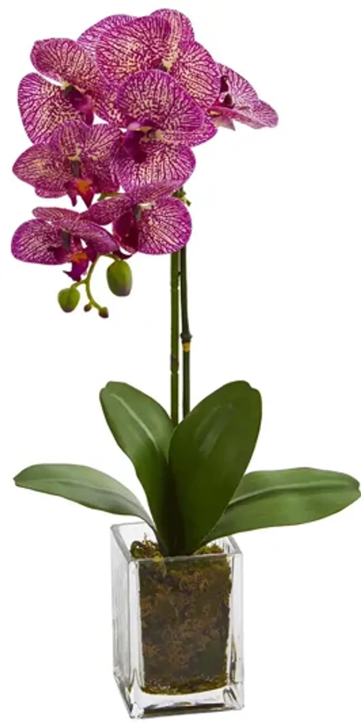 24in. Orchid Phalaenopsis Artificial Arrangement in Vase