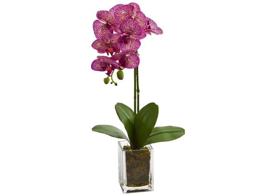 24in. Orchid Phalaenopsis Artificial Arrangement in Vase in Pink by Bellanest