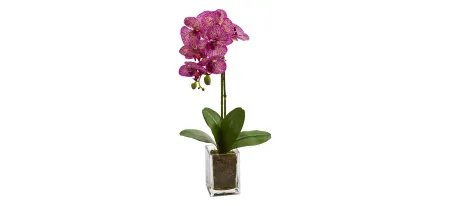 24in. Orchid Phalaenopsis Artificial Arrangement in Vase in Pink by Bellanest