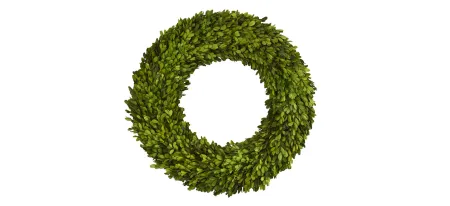 24in. Preserved Boxwood Wreath in Green by Bellanest