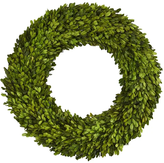 24in. Preserved Boxwood Wreath in Green by Bellanest