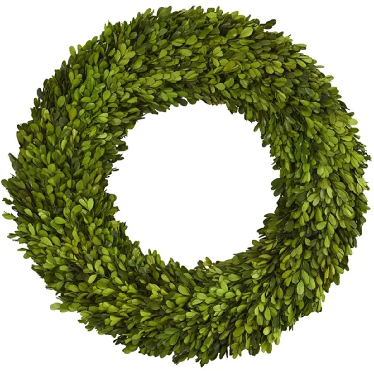 24in. Preserved Boxwood Wreath