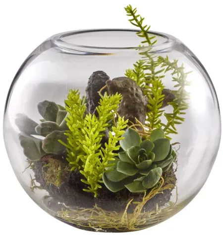 Mix Succulent Garden with Glass Vase in Green by Bellanest