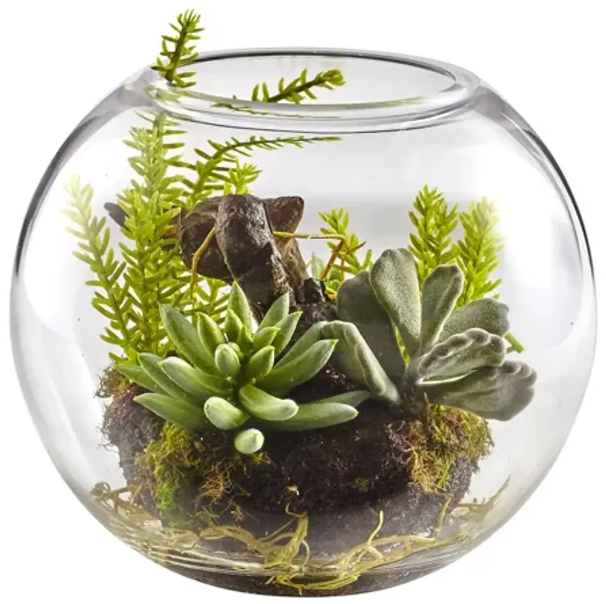 Mix Succulent Garden with Glass Vase in Green by Bellanest