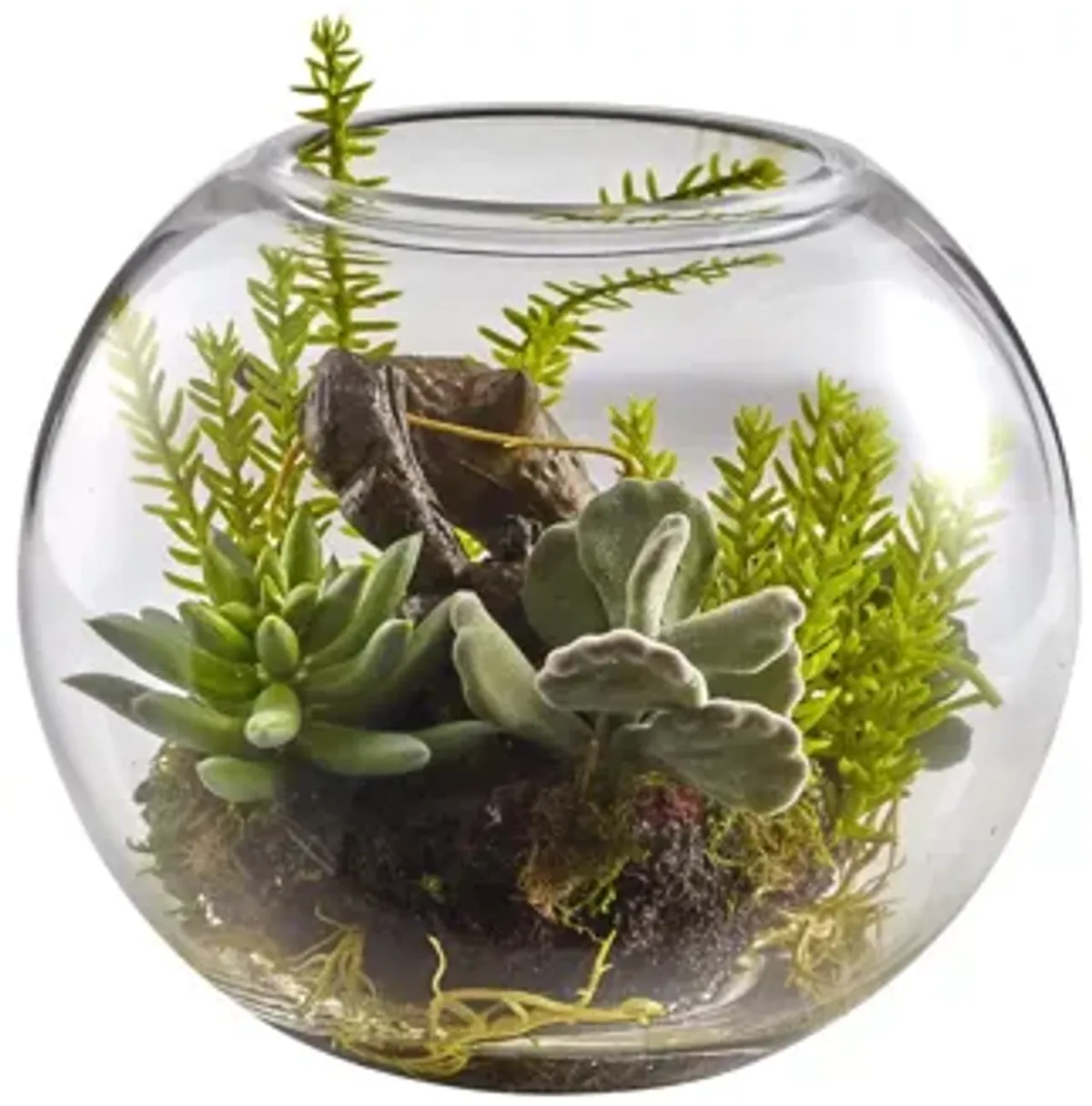 Mix Succulent Garden with Glass Vase