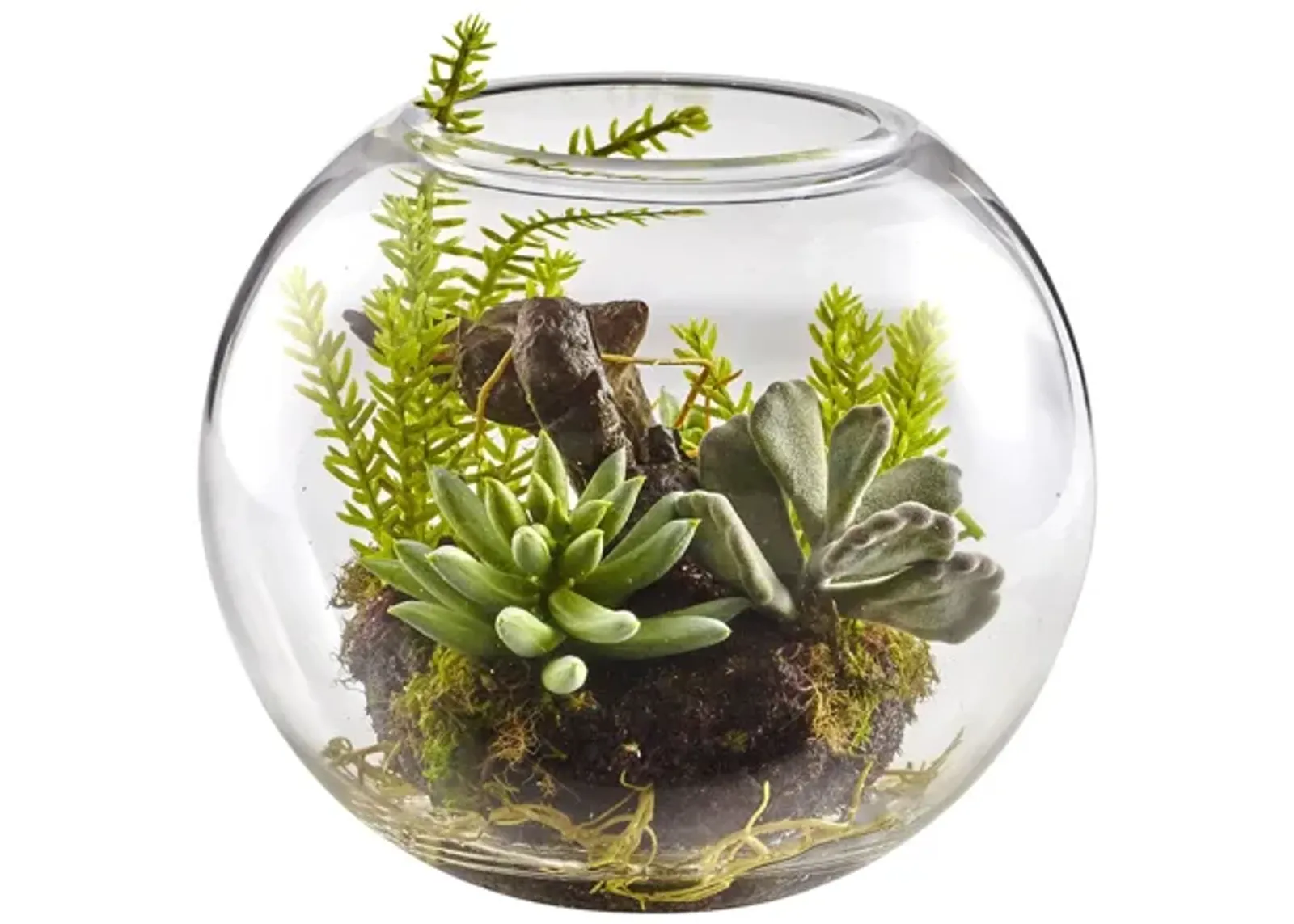 Mix Succulent Garden with Glass Vase in Green by Bellanest