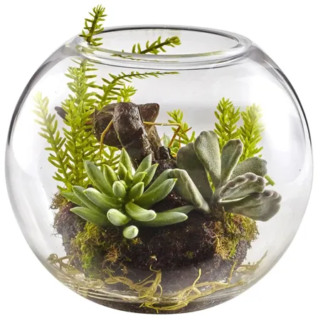 Mix Succulent Garden with Glass Vase in Green by Bellanest