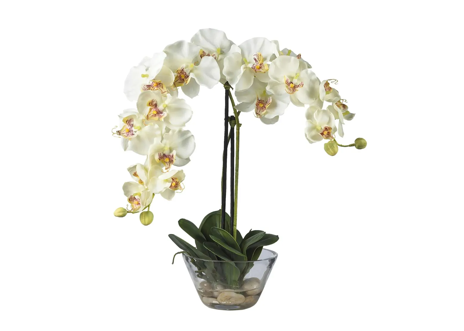 Phalaenopsis with Glass Vase Silk Flower Arrangement in White by Bellanest