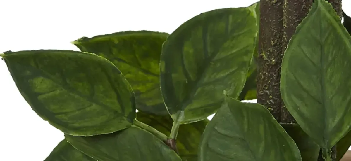 Lemon Ball Topiary Arrangement