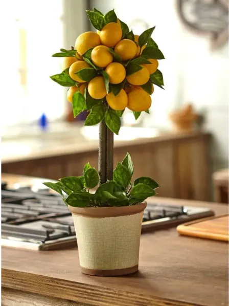 Lemon Ball Topiary Arrangement in Yellow by Bellanest
