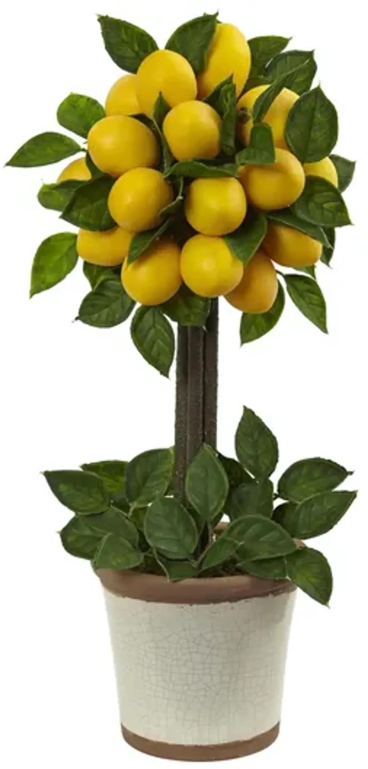 Lemon Ball Topiary Arrangement