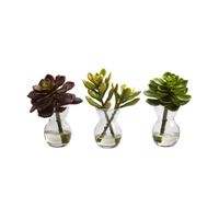 Succulent Arrangements (Set of 3) in Green by Bellanest