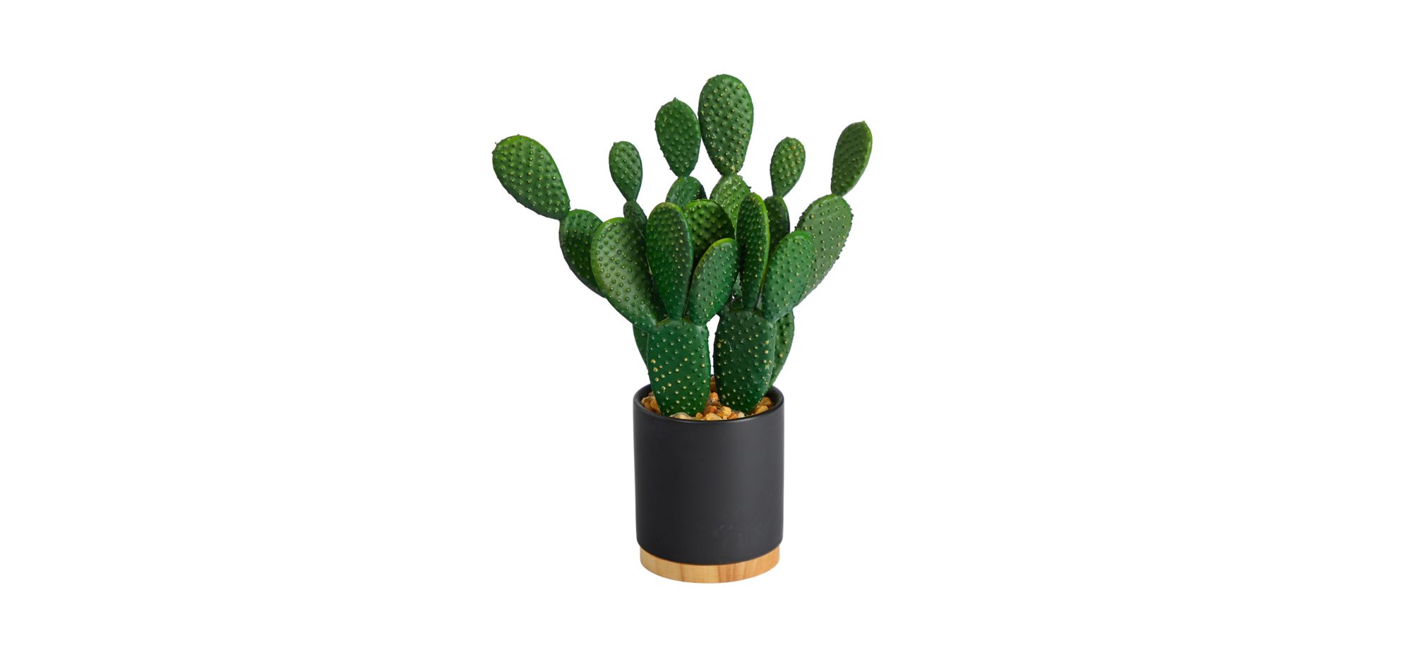 10in. Cactus Succulent Artificial Plant in Planter in Green by Bellanest