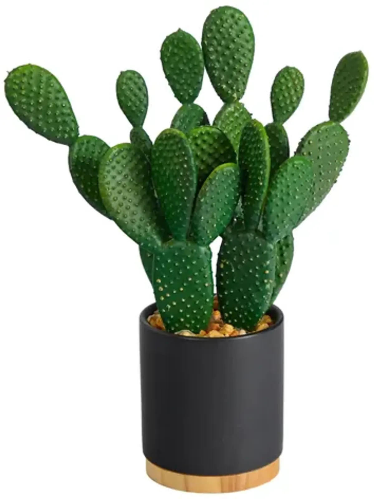 10in. Cactus Succulent Artificial Plant in Planter in Green by Bellanest