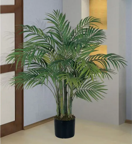 3ft. Areca Silk Palm Tree in Green by Bellanest