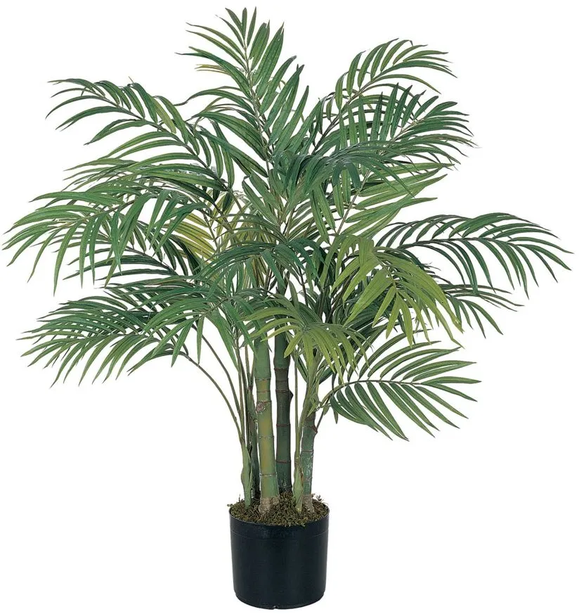 3ft. Areca Silk Palm Tree in Green by Bellanest