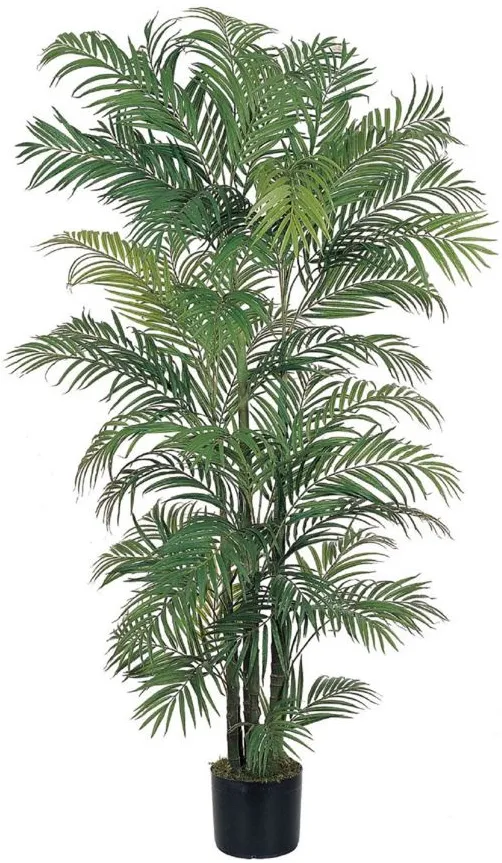 6ft. Areca Silk Palm Tree in Green by Bellanest
