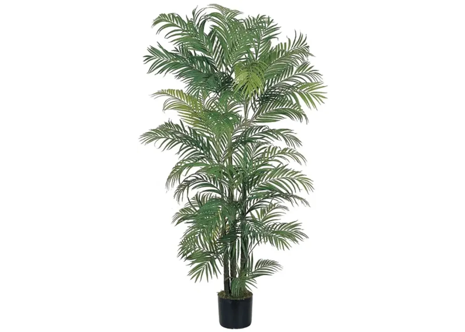 6ft. Areca Silk Palm Tree in Green by Bellanest