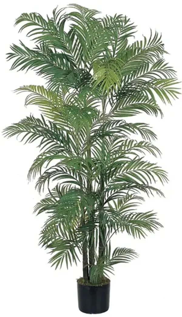 6ft. Areca Silk Palm Tree