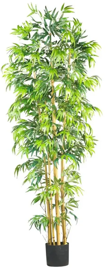 7ft. Bambusa Bamboo Silk Tree in Green by Bellanest