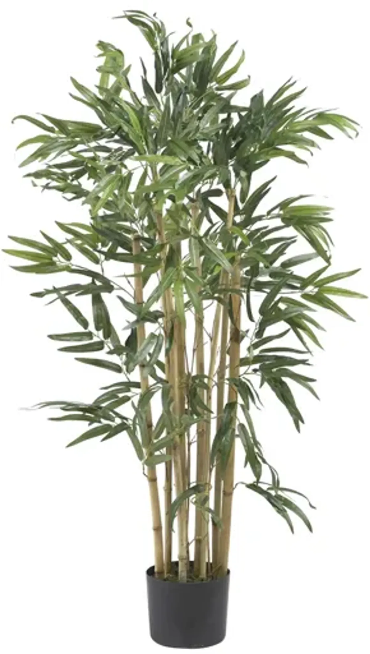 3ft. Multi Bambusa Bamboo Silk Tree in Green by Bellanest