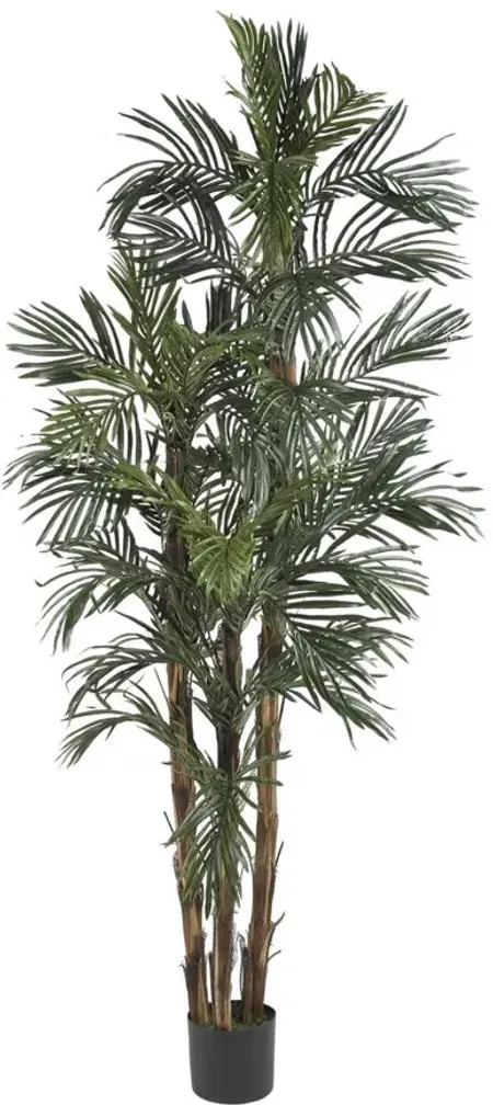 6ft. Robellini Palm Silk Tree in Green by Bellanest