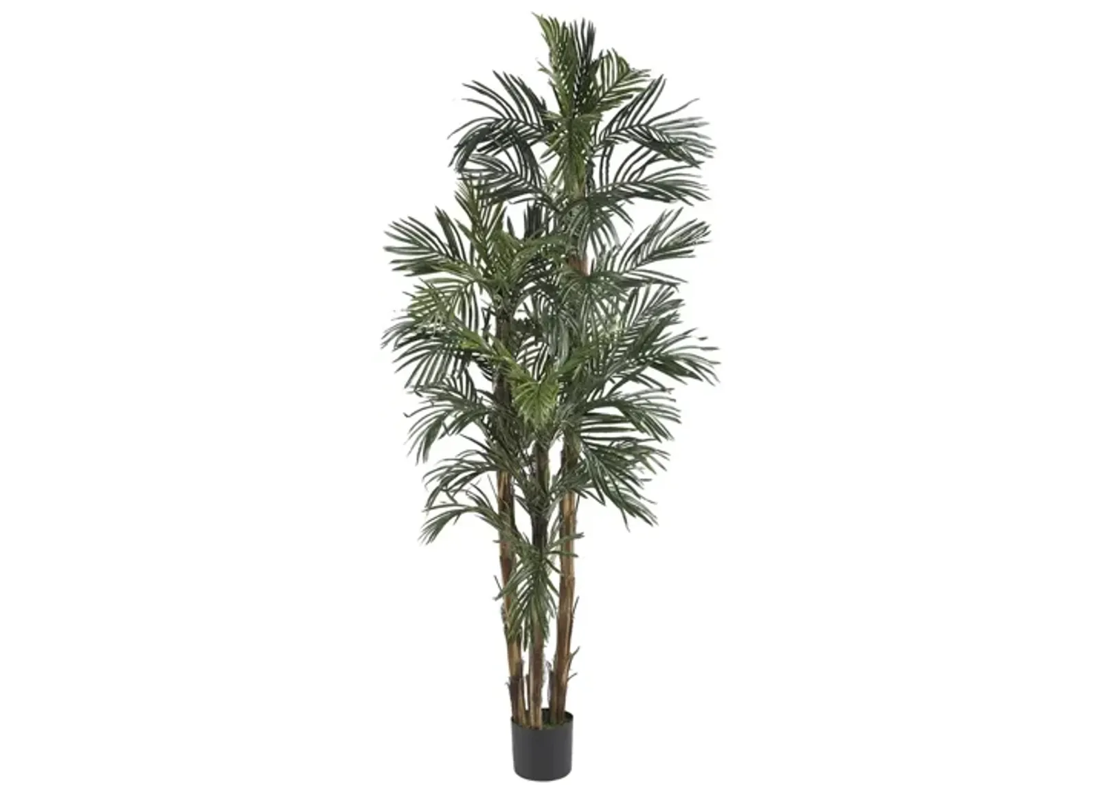 6ft. Robellini Palm Silk Tree in Green by Bellanest