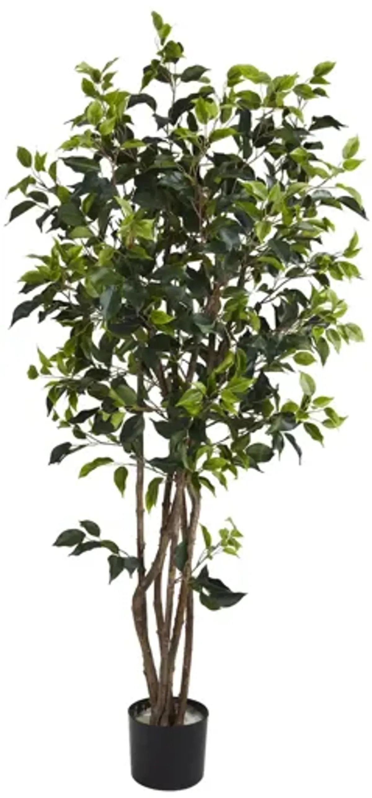 5ft. Ficus Bushy Silk Tree in Green by Bellanest