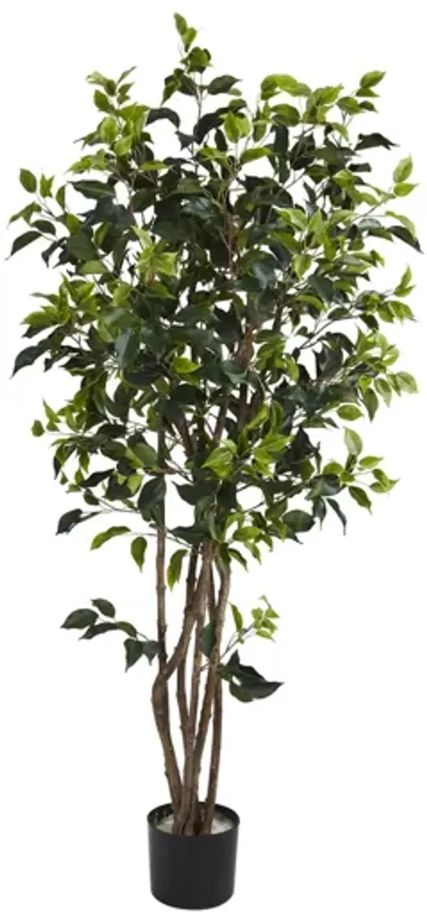 5ft. Ficus Bushy Silk Tree