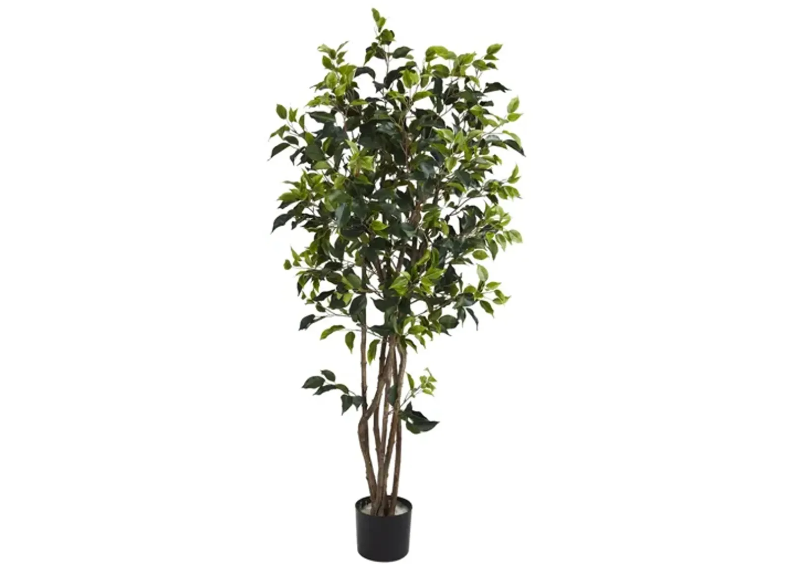 5ft. Ficus Bushy Silk Tree in Green by Bellanest