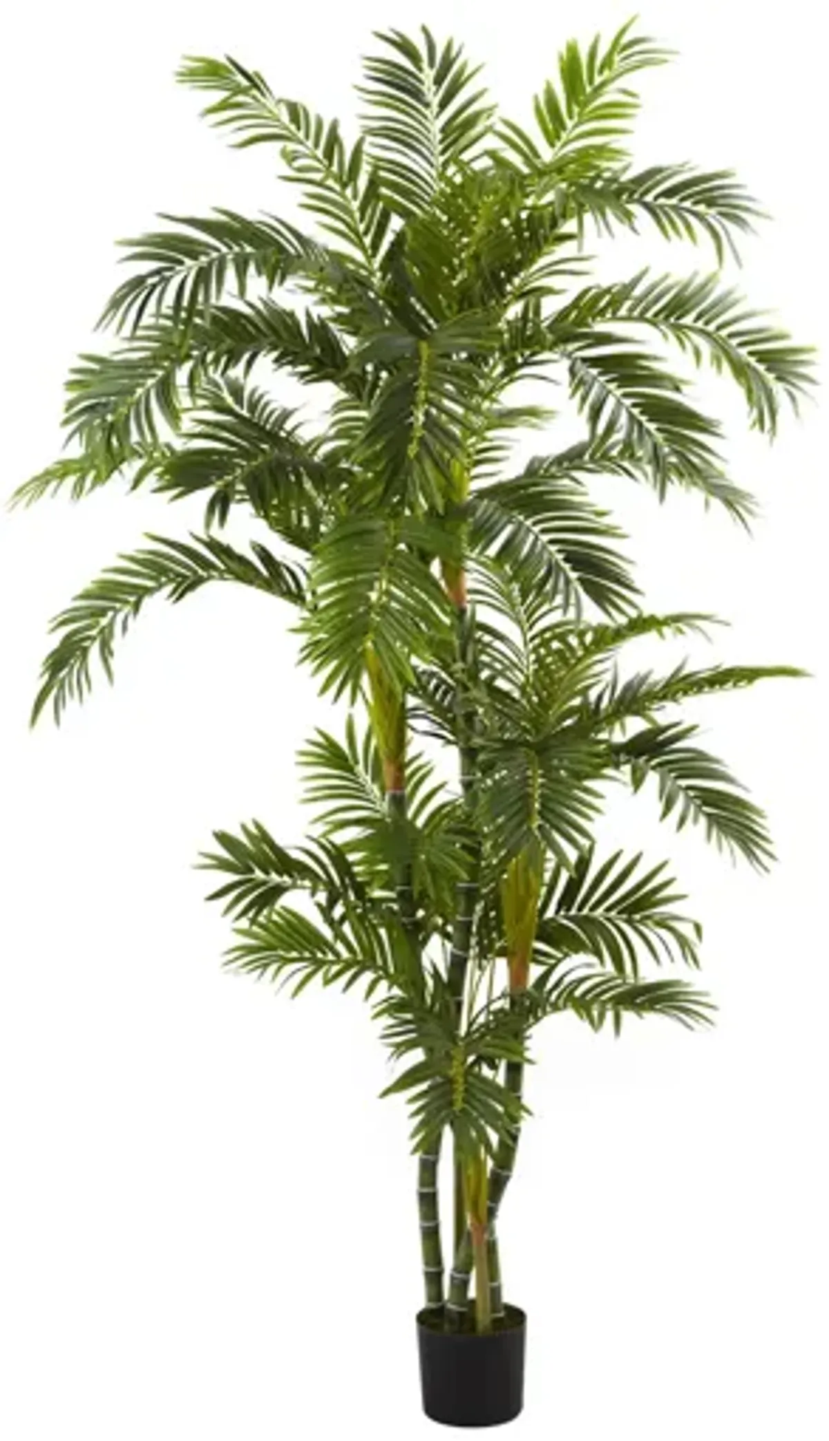 6ft. Curvy Parlor Palm Silk Tree in Green by Bellanest