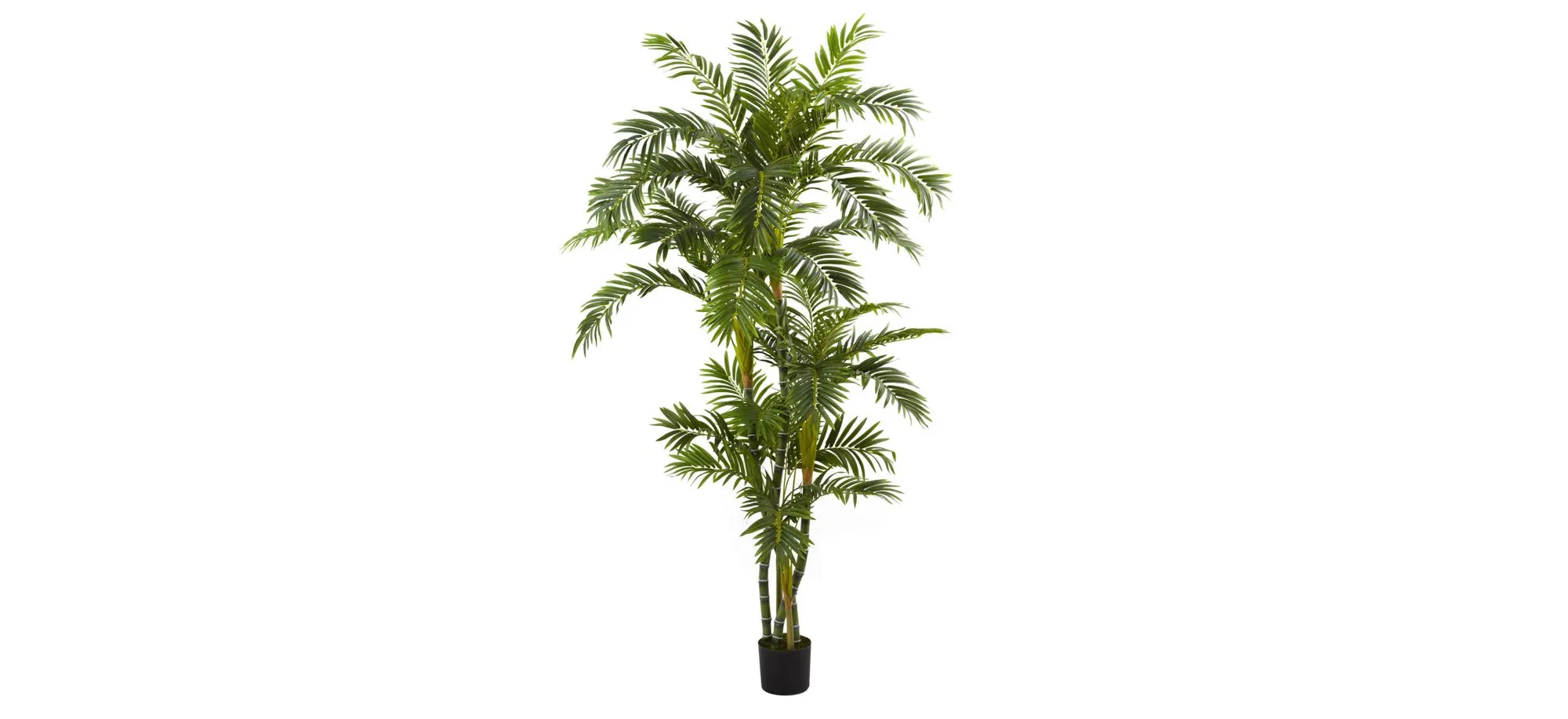 6ft. Curvy Parlor Palm Silk Tree in Green by Bellanest