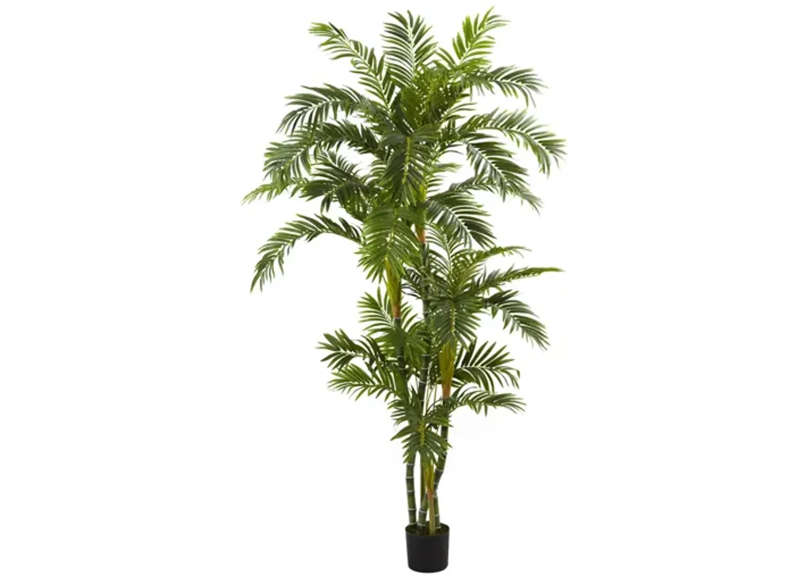 6ft. Curvy Parlor Palm Silk Tree in Green by Bellanest