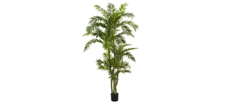 6ft. Curvy Parlor Palm Silk Tree in Green by Bellanest