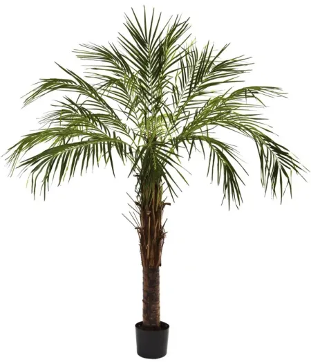 6ft. Robellini Palm Tree in Green by Bellanest