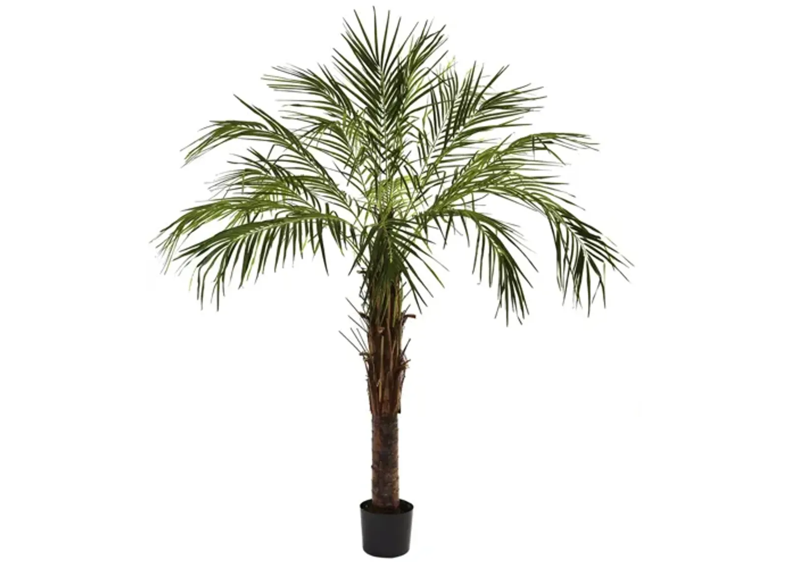 6ft. Robellini Palm Tree in Green by Bellanest