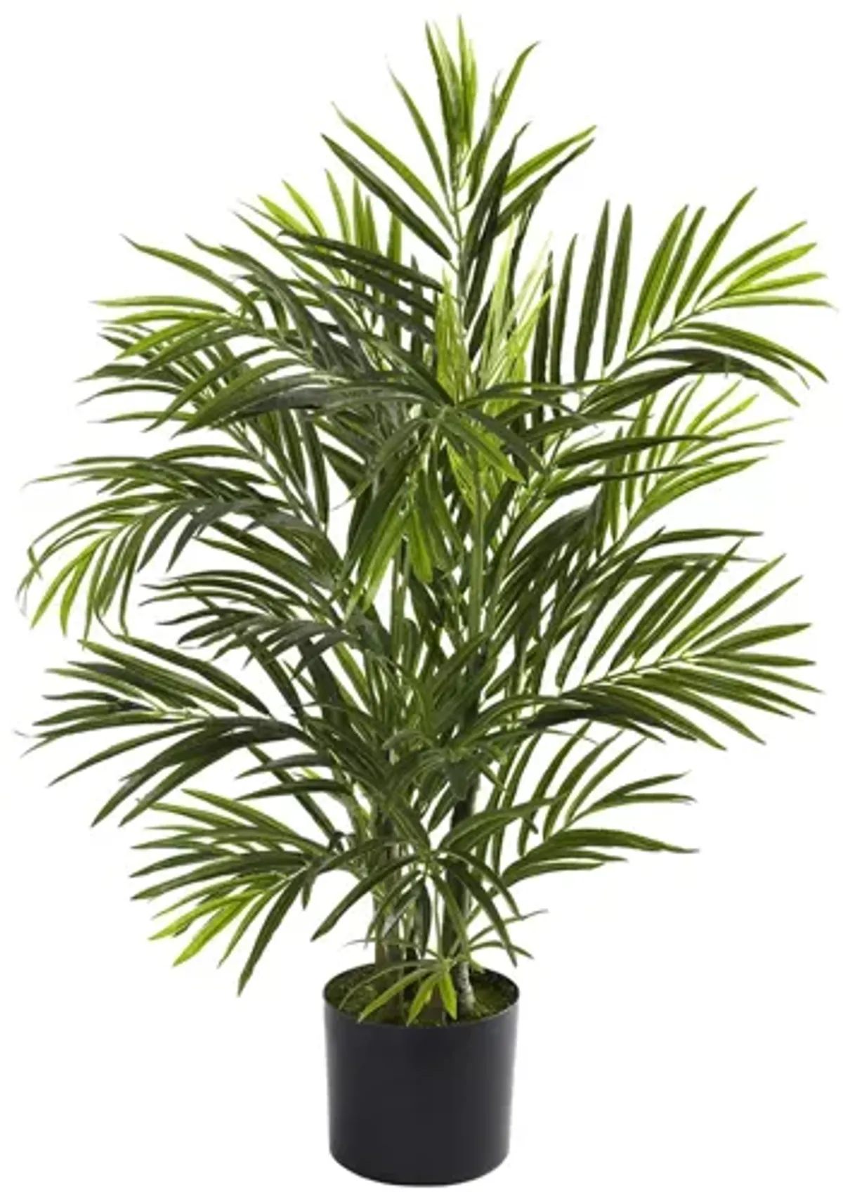 2.5ft. Areca Palm (Indoor/Outdoor) in Green by Bellanest