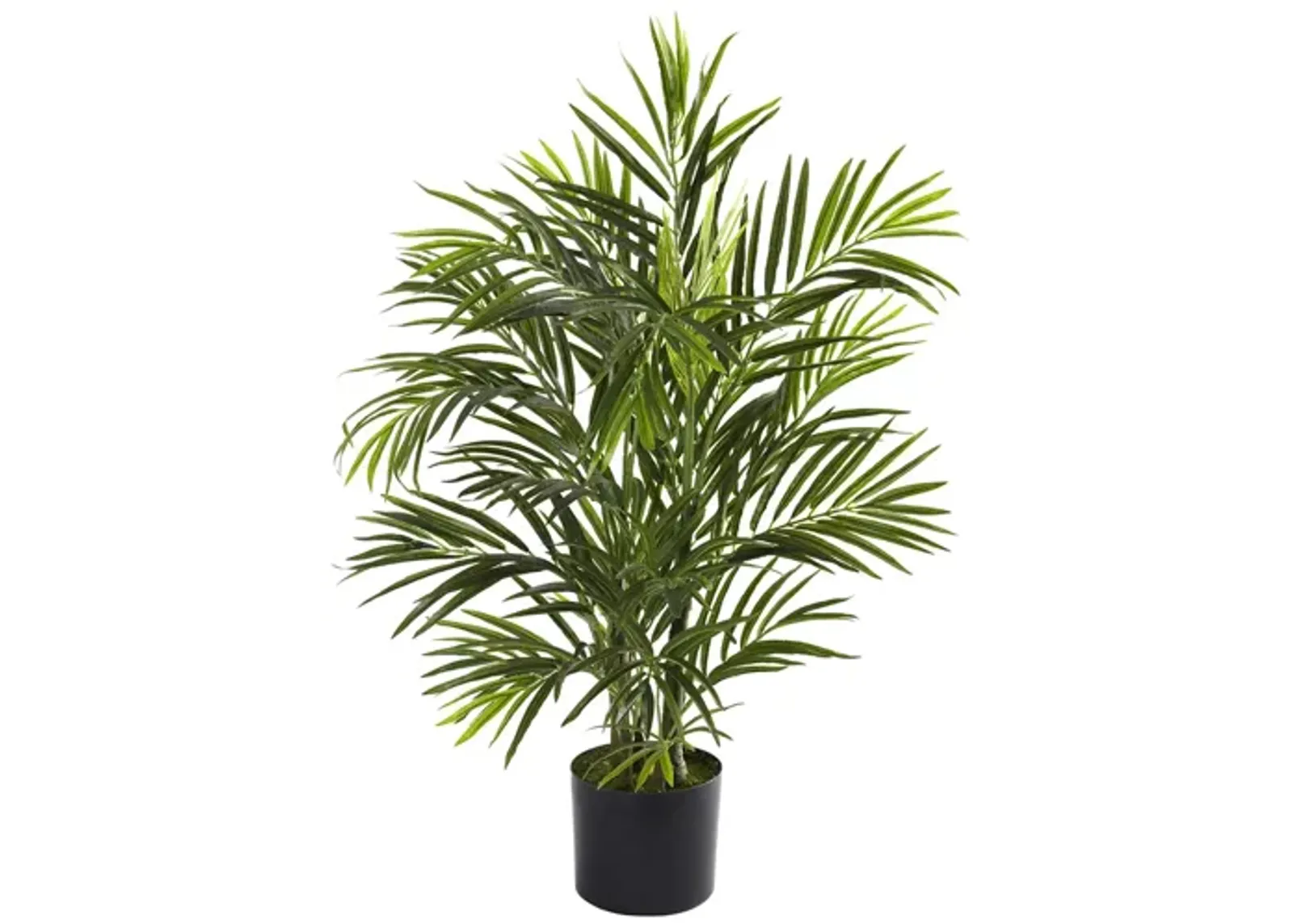 2.5ft. Areca Palm (Indoor/Outdoor) in Green by Bellanest