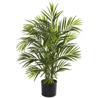 2.5ft. Areca Palm (Indoor/Outdoor) in Green by Bellanest