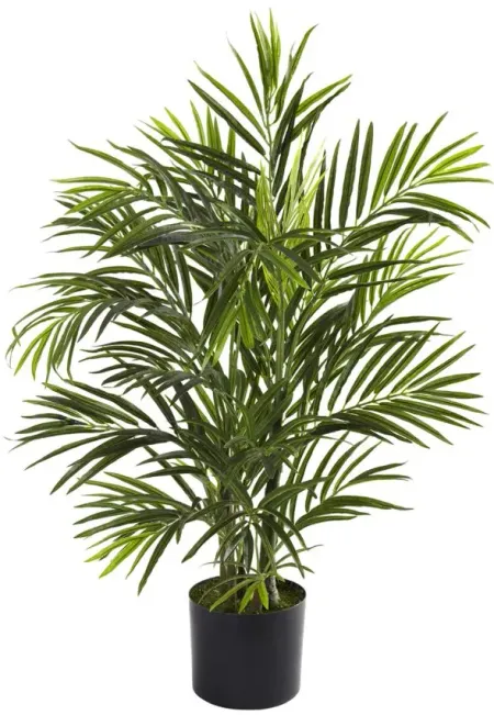 2.5ft. Areca Palm (Indoor/Outdoor) in Green by Bellanest