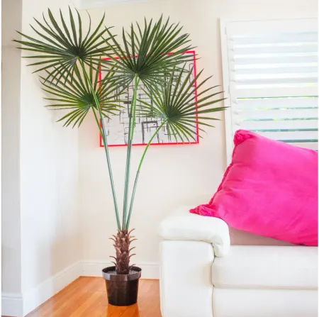 7ft. Fan Palm Artificial Tree UV Resistant (Indoor/Outdoor) in Green by Bellanest