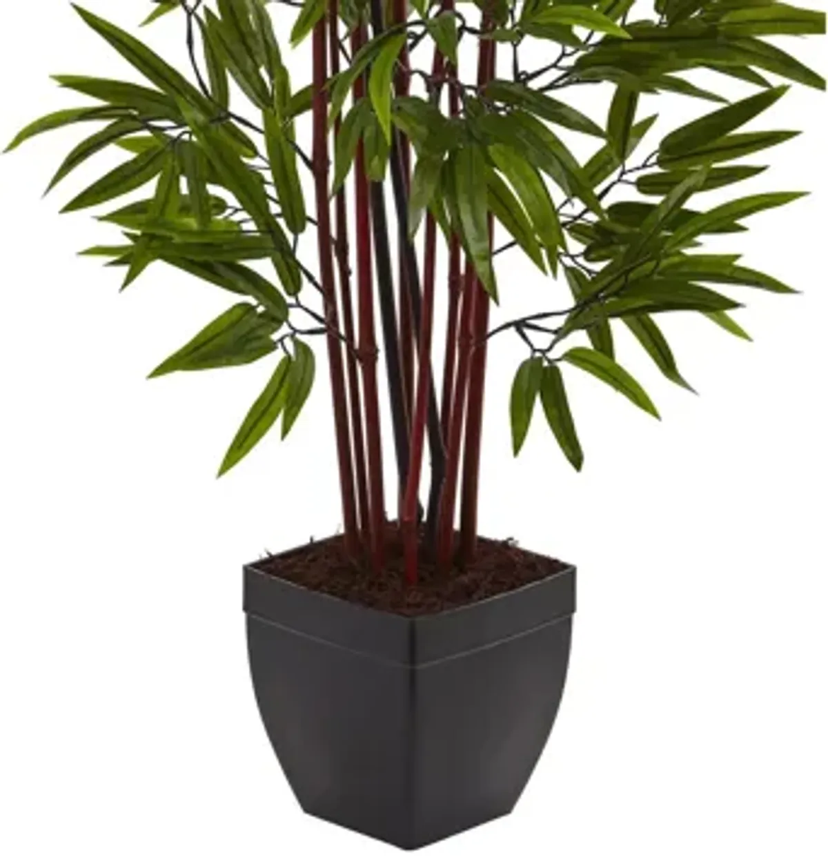 4ft. Bamboo Silk Tree with Planter