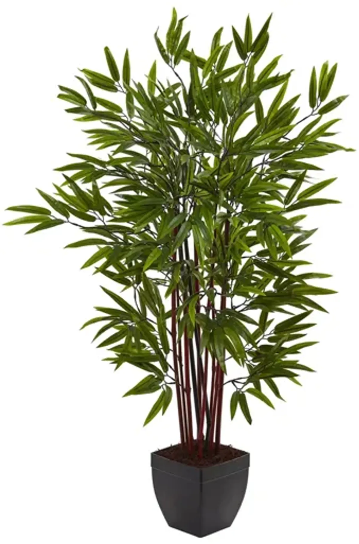 4ft. Bamboo Silk Tree with Planter